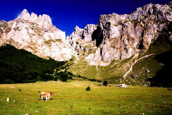 Picos de Europa
