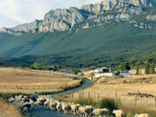 Parque Natural de Oyambre